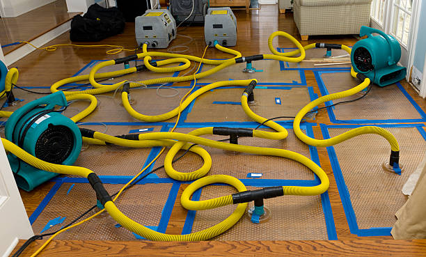 Professional Structural Drying And Dehumidification technician working in Hartsville, IN